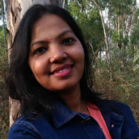 WPCruiseControl WordPress Support Team Rajini